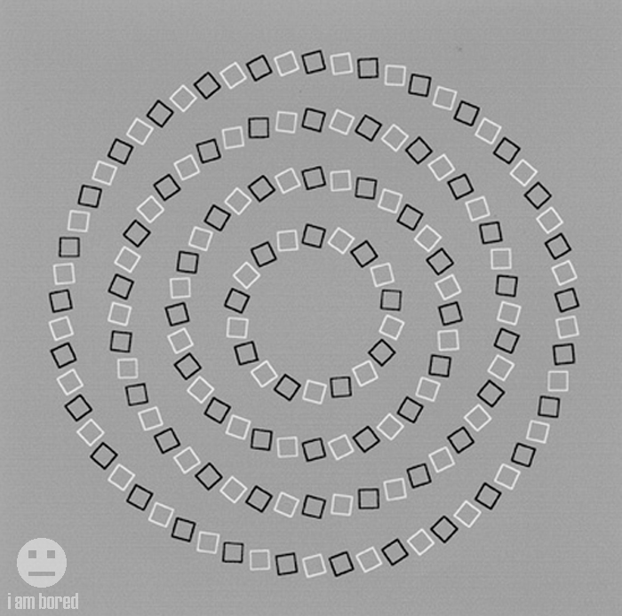 4 perfectly round circles