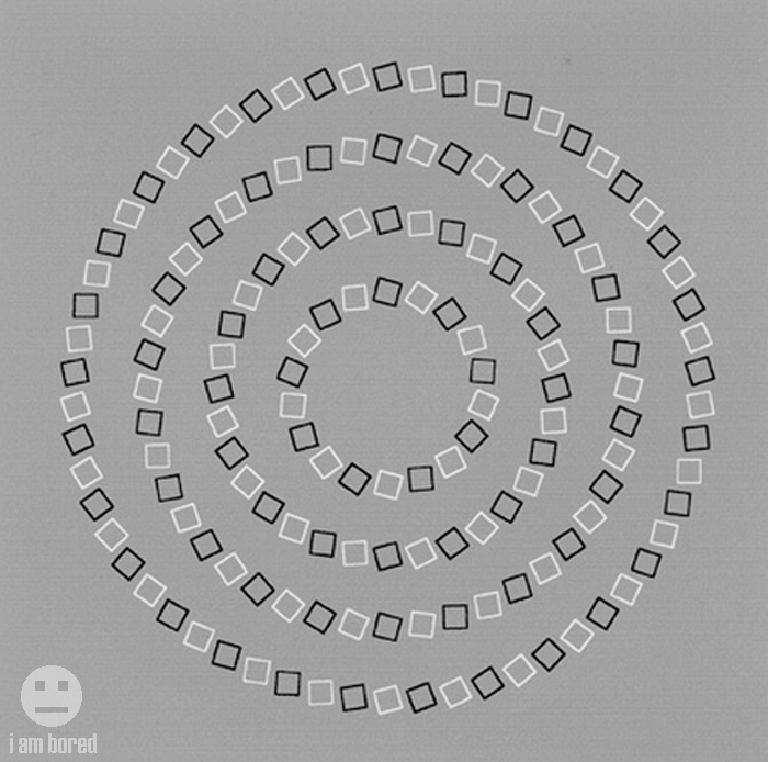 4 perfectly round circles 4 perfectly round circles