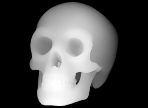 Skull3dRelief