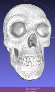 skull_relief